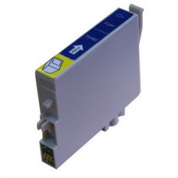 Epson T0482