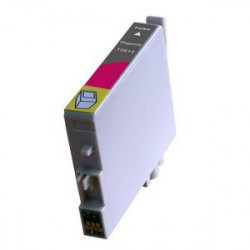 Epson T0613