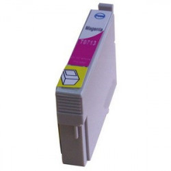 Epson T0713