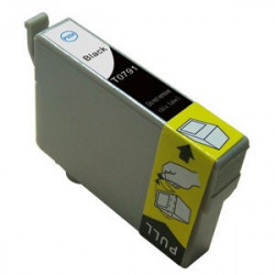 Epson T0791